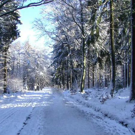 Apartment Ferienwohnung-wiesbaden-top3 *