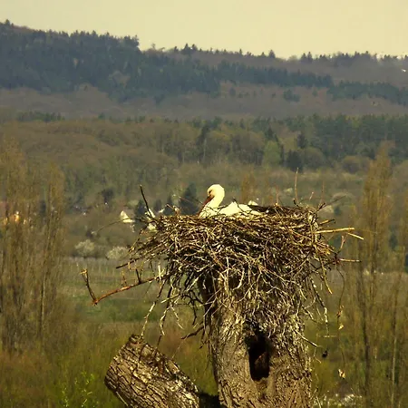 Apartment Ferienwohnung-wiesbaden-top3 Wiesbaden
