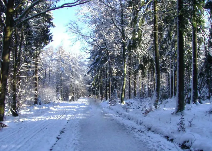 Apartment Ferienwohnung-wiesbaden-top3 *