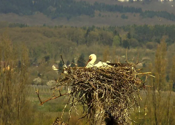 Apartment Ferienwohnung-wiesbaden-top3 Wiesbaden